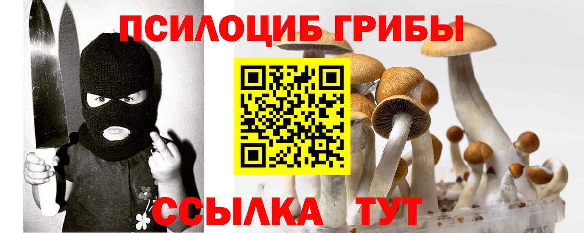 Псилоцибиновые грибы MAGIC MUSHROOMS Учалы
